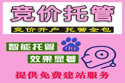 百度广告竞价之成功案例：某行业领军企业的崛起之路